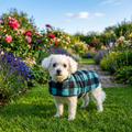 Polar Fleece - Turquoise