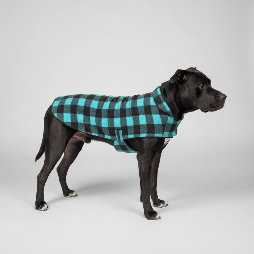 Polar Fleece - Turquoise