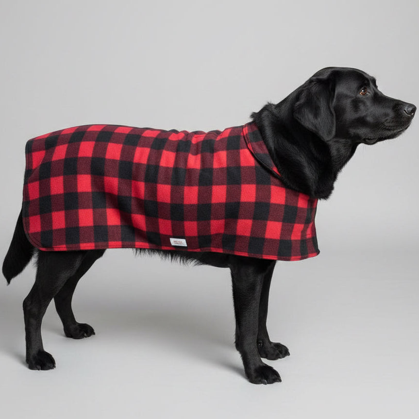 Black dog wearing a red and black checkered coat on a paved walkway.