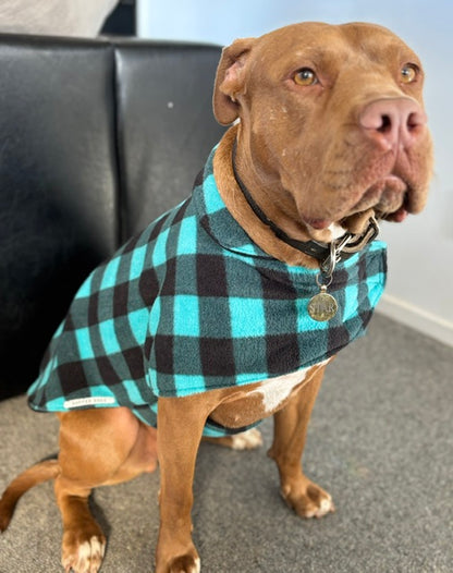 Polar Fleece - Turquoise