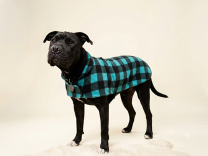Polar Fleece - Turquoise