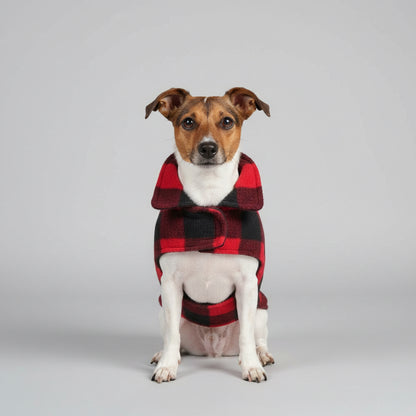 Dog wearing a red and black checkered coat sitting on a pet bed in a car.