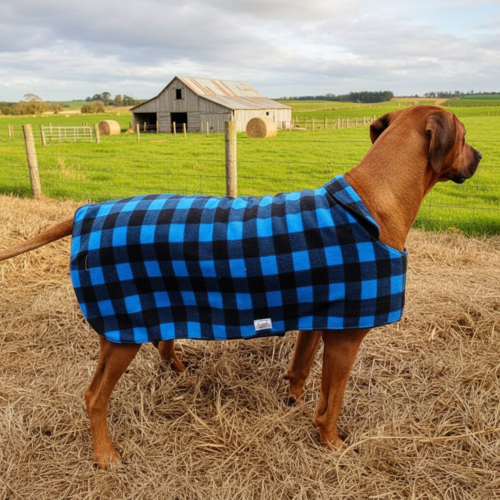 Polar Fleece - Blue